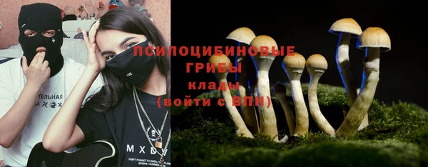 ALPHA PVP Иннополис